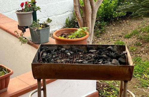 Nel giardino di Nunziatina - Photo 21