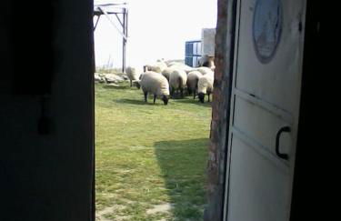 Cabane de douanier en baie du Mont Saint Michel hébergement insolite - Foto 72
