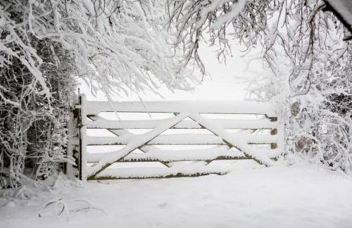 The Organic Cotswolds Shepherds Hut - Photo 56