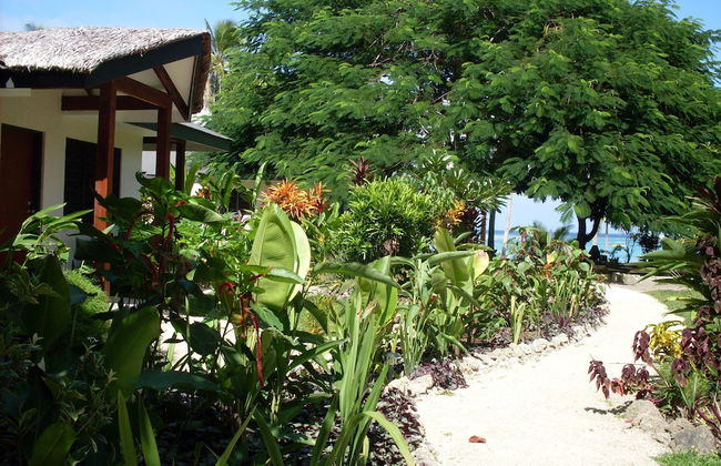 Troppo Mystique - Photo 40