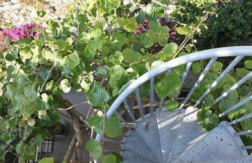 MareNostrum - Photo 25