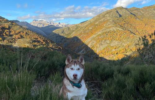 El Invernal de Picos - Photo 38