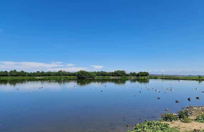 2 Bed Woodland Retreat - Garden & Free Parking - Foto 11