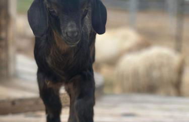 Peaceful & Cozy 3 bedroom Ranch-Home w/Fireplace - Foto 29