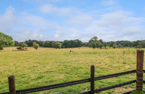 Belles View - Foto 21