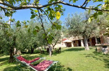 Pietra Antica Agriturismo - Foto 11