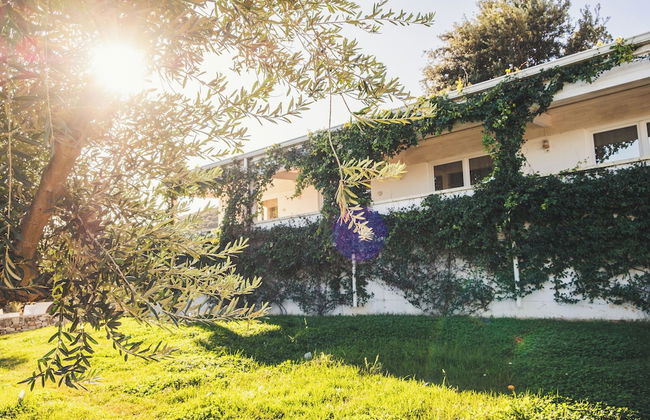 Masseria Santa Teresa - Photo 20