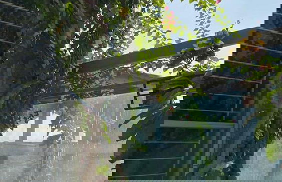 Beautiful 2-bed Apartment in Dhaka - Foto 25