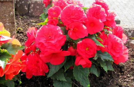 Deine-Eifel-Ferienwohnung - Foto 47