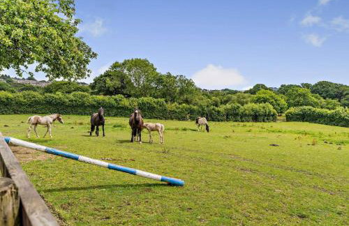 2 Bed in Swansea oc-40481 - Foto 39