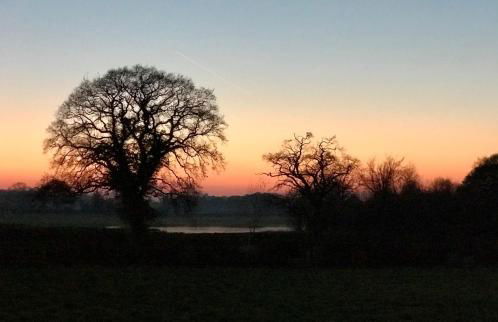 Archers Cottage - Foto 29