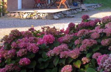 Hof Faasel - Bauernhofurlaub an der Ostsee - Foto 34