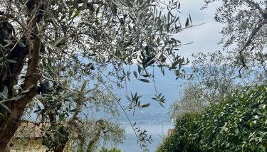 Patty's Lemonhouse - Foto 4