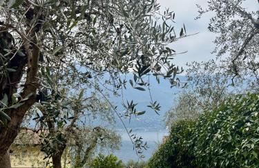 Patty's Lemonhouse - Foto 4