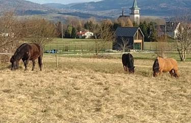 Zacisze Na Polach - Foto 37