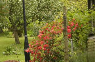 Cleavers Lyng 16th Century Country House - Foto 9