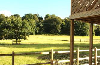 Badgers Den - Foto 12