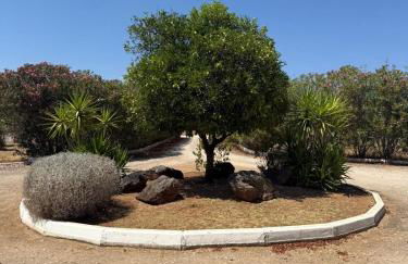 Casa Bungavilia - Roots of Alentejo - Foto 64