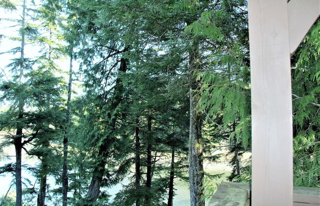 Black Bear Cottage - Photo 17