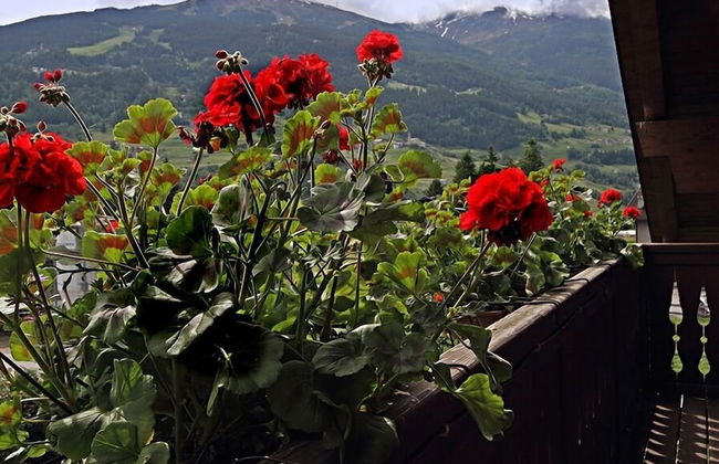 Chalet Stelle di Neve - Photo 57