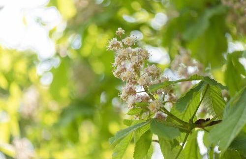 Ferienhaus Waldblick, 35209 - Foto 6