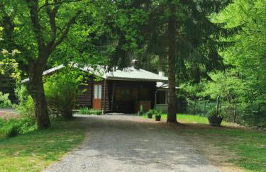 Chalet - gîte avec étang - Foto 10