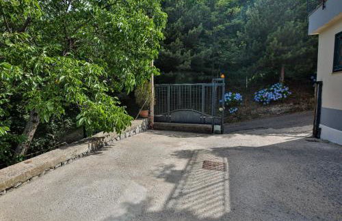 La Pace dei Sensi - Foto 45