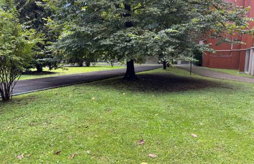 Novate Fiera - Foto 12