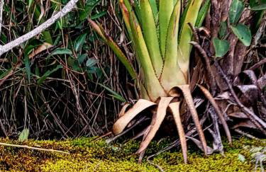 Chalé do Lopo - Photo 70