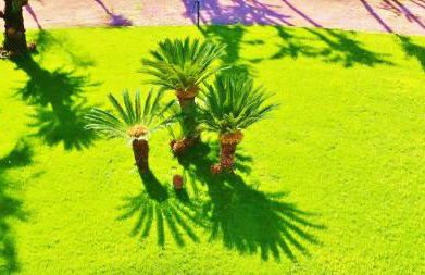 Dépendance La Casetta - Foto 46