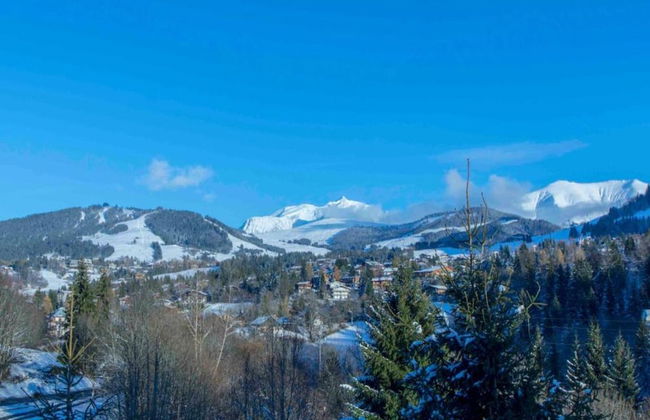 Chalet in Megeve With Mont-blanc Views - Photo 37
