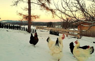 Ferienwohnung Bauer - Foto 3