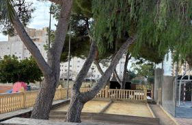 Lanzas Beach - Photo 6