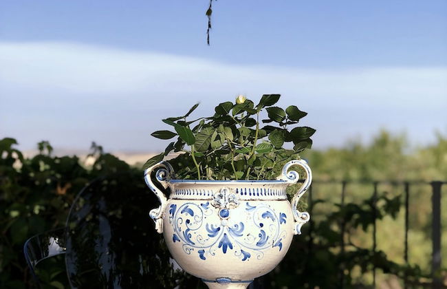 Oikos in Terre di Zaccanello - Photo 59