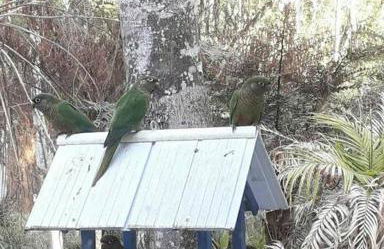 Cabana aconchegante na natureza - Foto 43