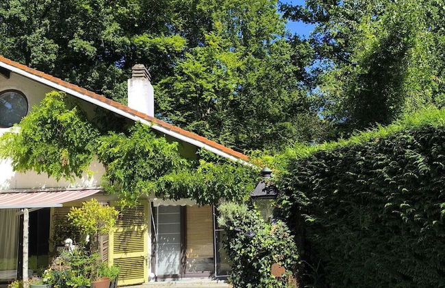 Charming Studio the Heart of the Forest - Foto 16