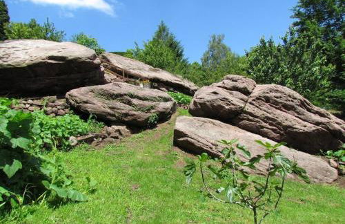 Maison charmante avec jardin à Haselbourg - Vue sur montagnes - Foto 22