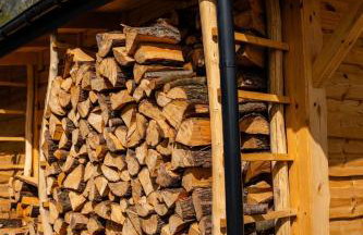 Willa Aleksandria - Foto 17