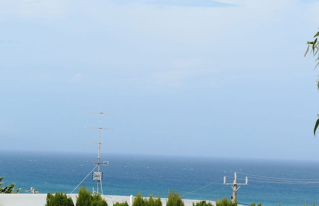 Apollo Bay Seal Apartments - Photo 16