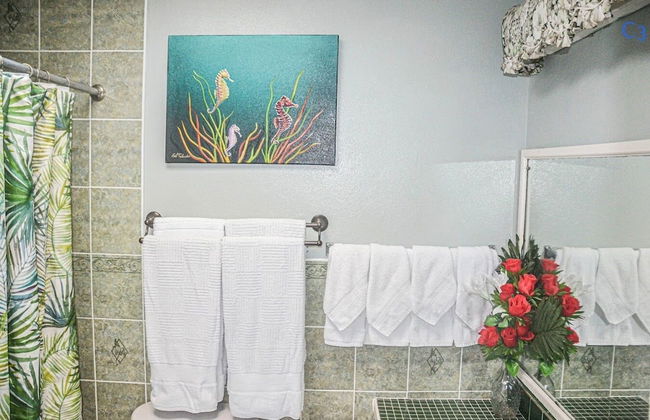 Condo Rios Resort - Photo 30