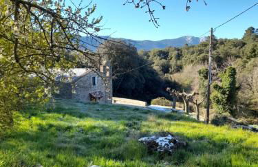 Chez Paulette - meublé de tourisme classé 3 étoiles - Foto 20