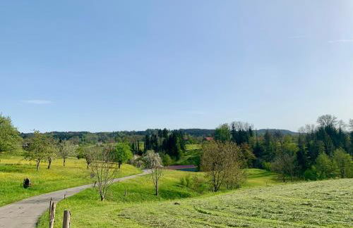 Lindners Hideaways - Bergnest Lodge - Bergblick Fewo 6 Pers Balkon Garten Hund Ski Unterkunft Luftkurort Oberreute nähe Buchenegger Wasserfälle Eistobel Bodensee - Foto 47