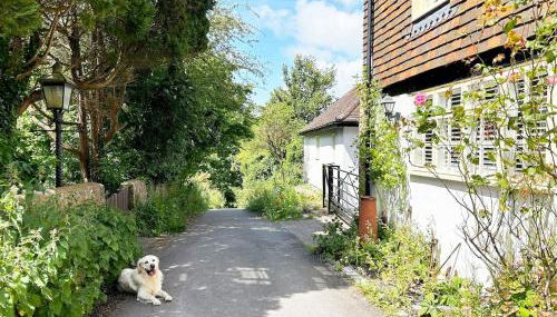 The Stables at The Forge - Cosy Cottage with Log Burner on S Downs Way, nr Brighton - Foto 1