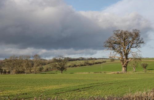 Little Byre Cottage - Photo 23