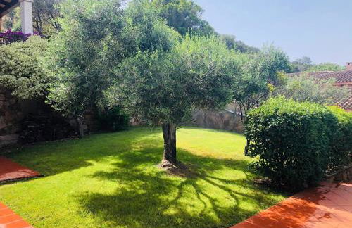 Villa Capo Coda Cavallo piscina privata - Foto 16