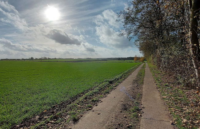 Ferienwohnung auf Insel Poel - Foto 20