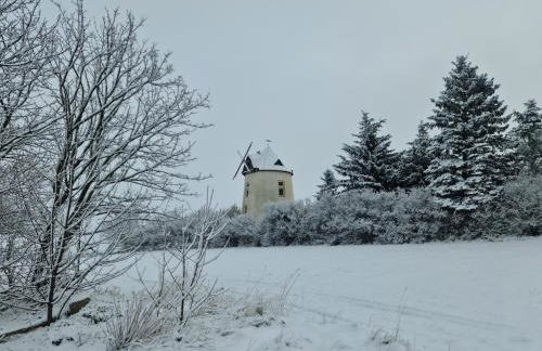 Gästehaus zum Rosengarten - Photo 76