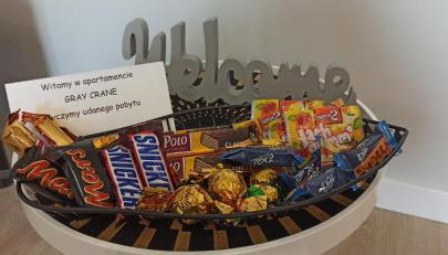 Apartament GRAY CRANE - Foto 5