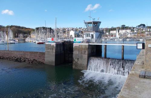 Les hortensias - Foto 30