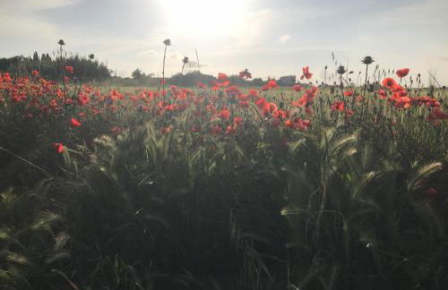 La Jolie Vigneronne - Foto 29